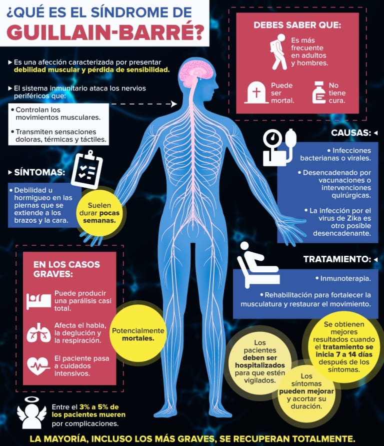 Síndrome De Guillain Barré Infografía Rpp Prensa Regional 7742