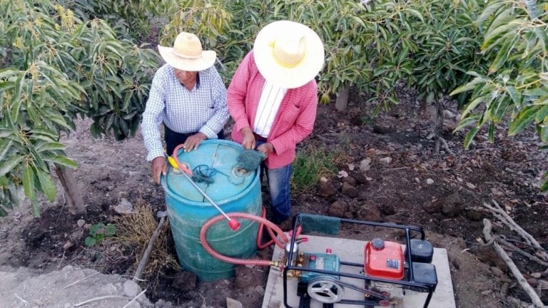 Southern Peru promueve programa de agricultura sustentable en Torata