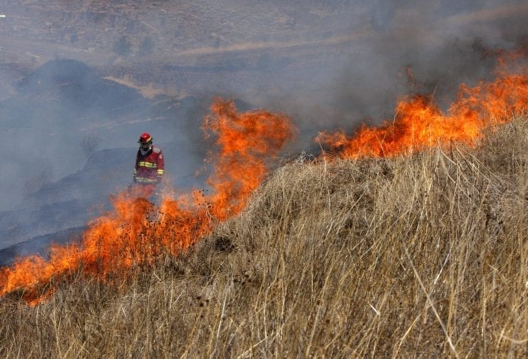 Piden al ejecutivo aprobación del Plan Nacional contra incendios forestales