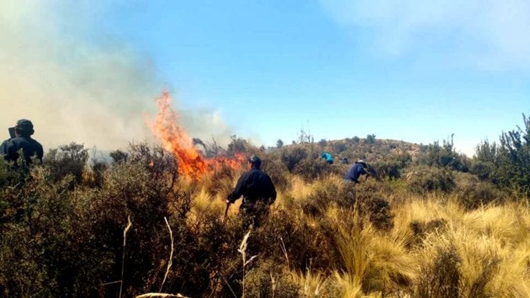 Incendio forestal arrasa pastizales en Puquina