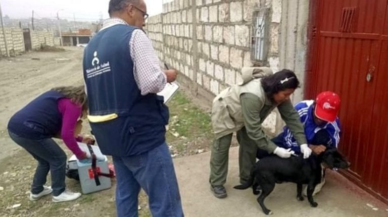 Ponen en marcha campaña de vacunación contra la rabia