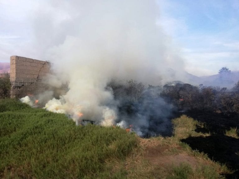 Un nuevo incendio forestal se registró en el valle de Ilo