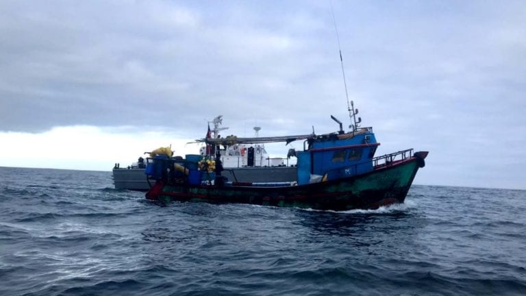 Armada chilena detiene a embarcación pesquera con 11 toneladas de tiburón azulejo