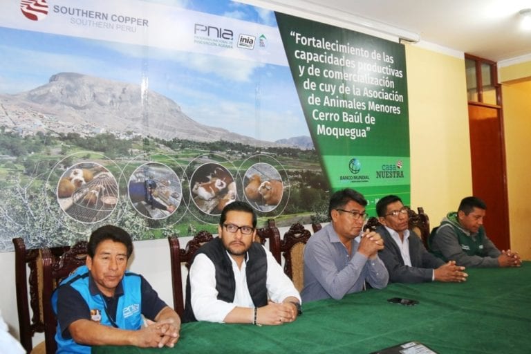 Con éxito concluye proyecto para fortalecer cadena de cuy en Torata