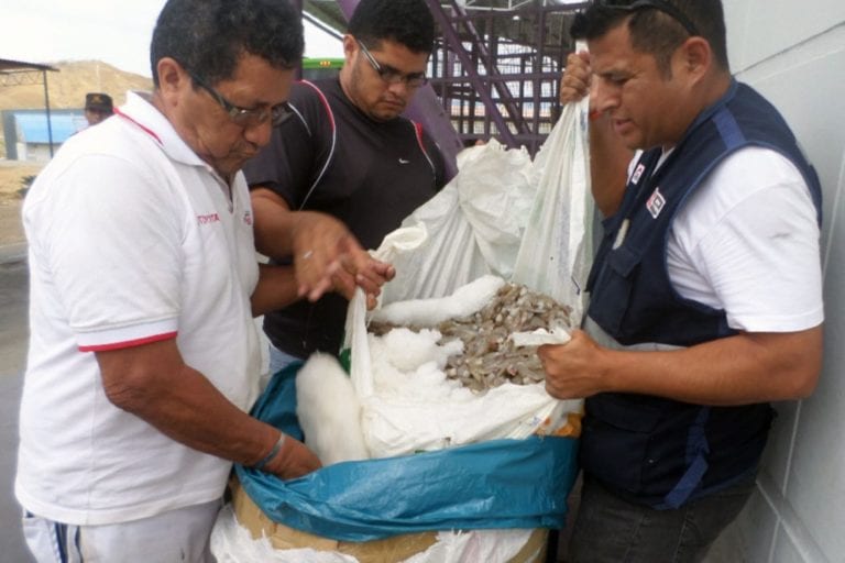 Asociación de Extractores de Machas preocupados por el recurso