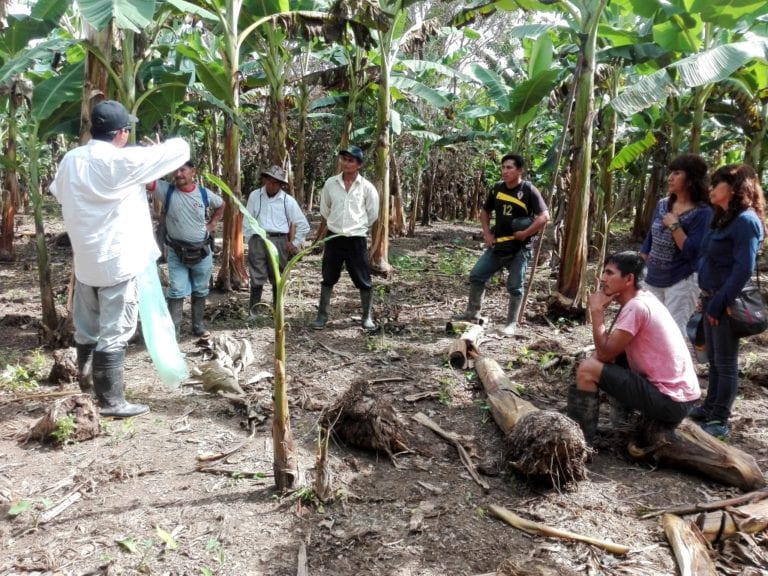 Concytec financia cuatro proyectos para reemplazar el plástico con biodegradables