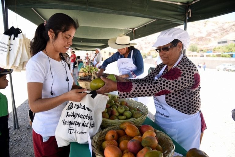 Feria “Las Riquezas del Baúl” promueve producción agroecológica en Moquegua