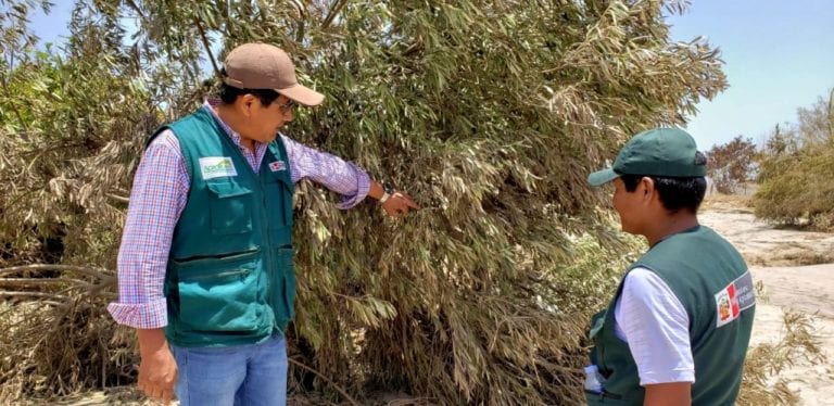 Agro Rural rehabilitará 860 hectáreas agrícolas afectadas por lluvias y desborde de ríos en Moquegua