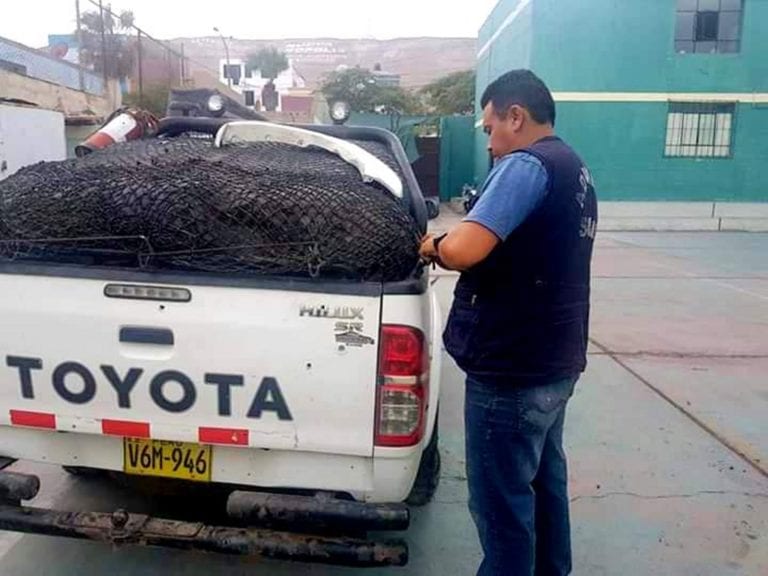 Involucrados en el delito de contrabando fueron trasladados a Arequipa 