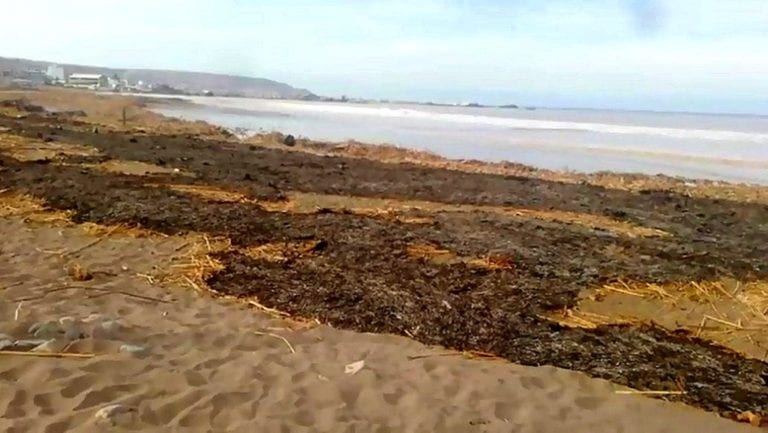 Irresponsables provocan incendio en playa de Patillos