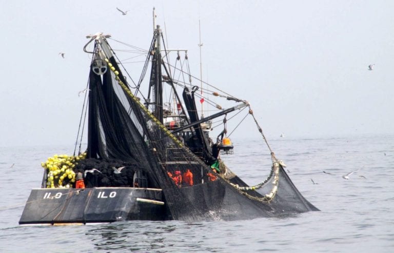 Basta de favorecer a Chile, en el tema pesquero