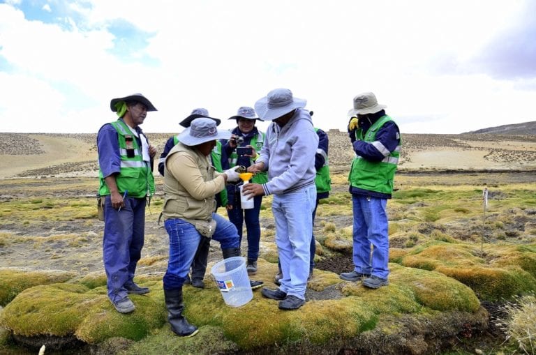 Monitoreo ambiental en Quellaveco: población y autoridades juntos por el medio ambiente