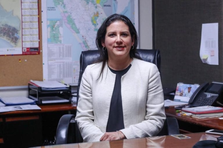 Tía María: los retos para la nueva viceministra de Minas