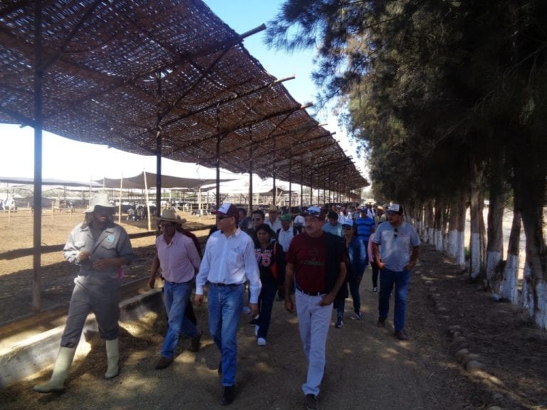 Tambeños visitan establo “Los Rosales” de Agrícola Pampa Baja