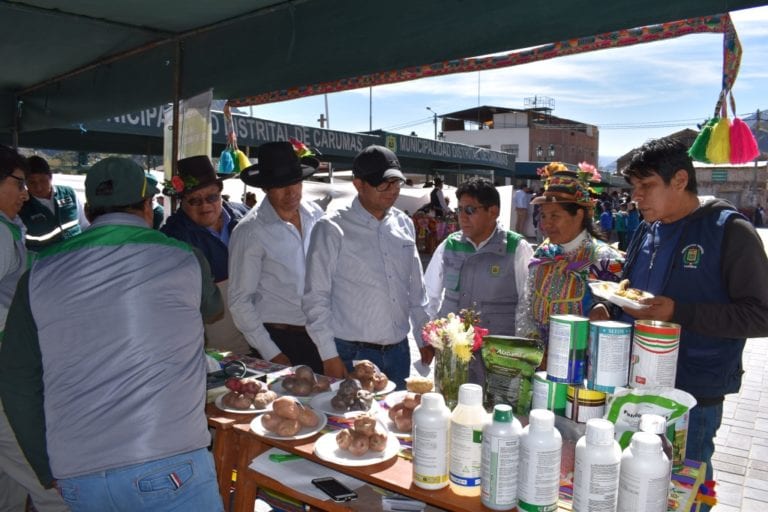 Productores del valle de San Felipe participaron del Tercer Festival de la Papa Carumas