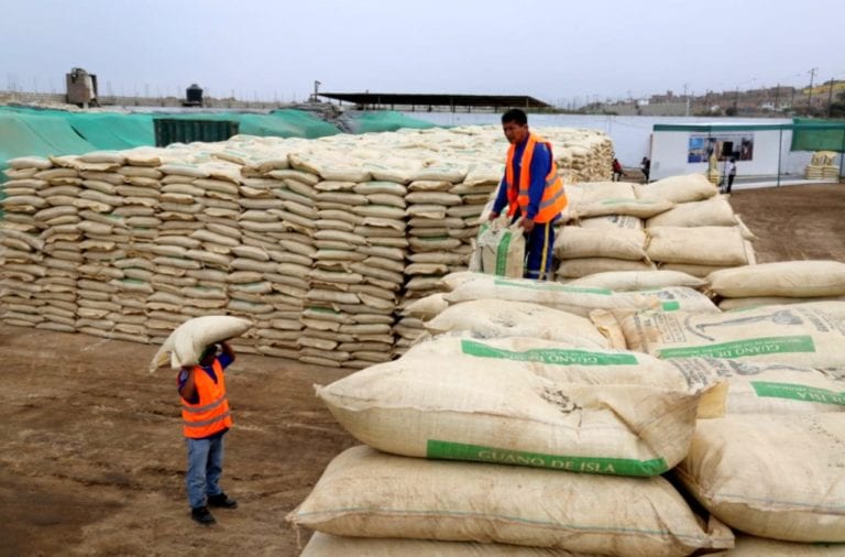 Pequeños agricultores de Moquegua podrán comprar guano de las islas a bajo precio