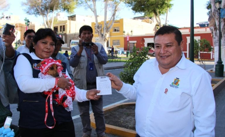Hoy es el día central de la campaña gratuita de vacunación canina en moquegua
