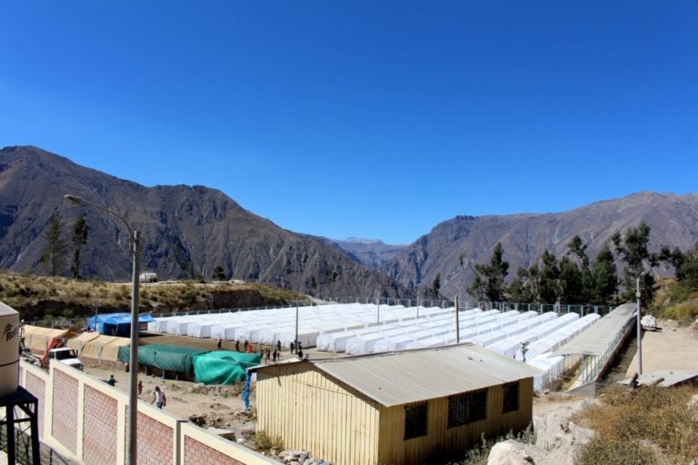Hoy llegan 225 módulos de vivienda para la población albergada en Anascapa