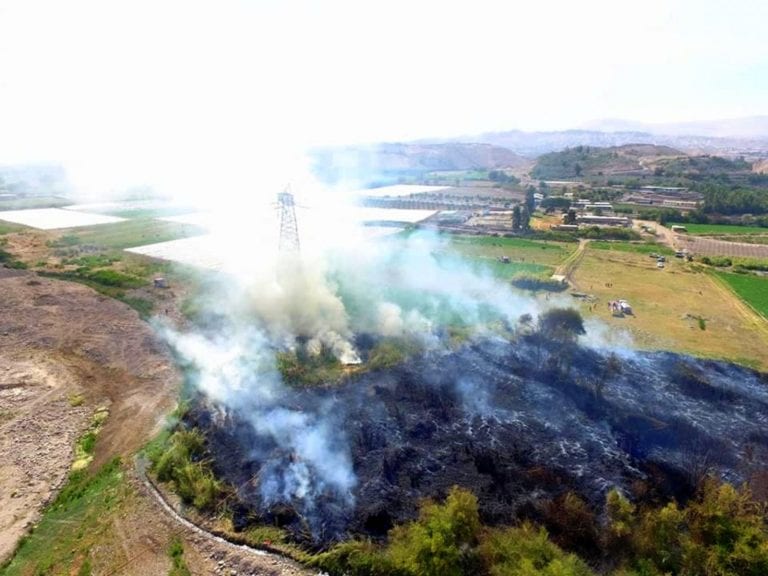 Incendio forestal de grandes proporciones se registró en terrenos del INIA