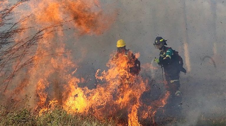 Más de 700,000 hectáreas y 1,817 familias afectadas por incendios en Bolivia