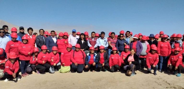 GORE Moquegua y Trabaja Perú inician proyecto de reforestación en El Algarrobal