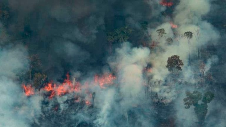 Científicos crean Comisión de la Tierra para mantener la vida