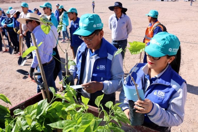 Trabajadores de la EPS Moquegua realizan campaña de forestación en la PTAR Omo