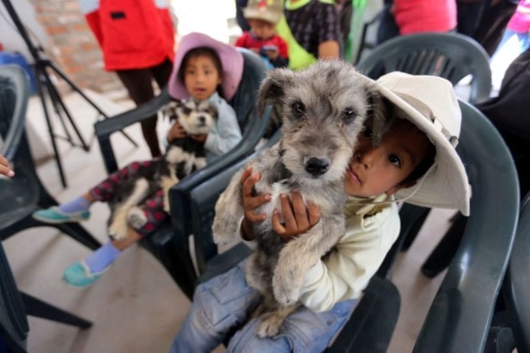 Codisec Cocachacra impulsará campaña de vacunación canina