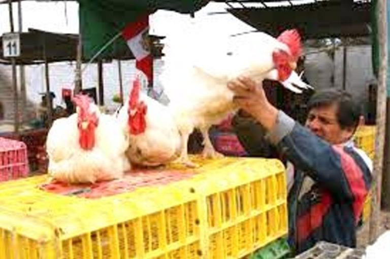 Autoridades coordinan para contar con un camal para beneficiar aves