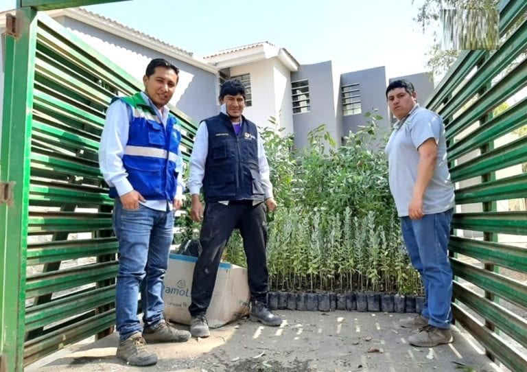 Donan 560 especies forestales a municipio punteño