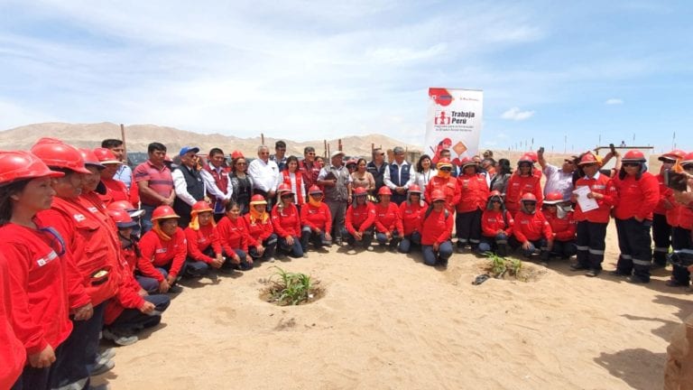 Directora ejecutiva de Trabaja Perú supervisó proyecto de reforestación  