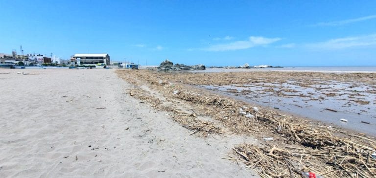 Una de las playas más visitadas de Ilo quedó contaminada tras ingreso de río
