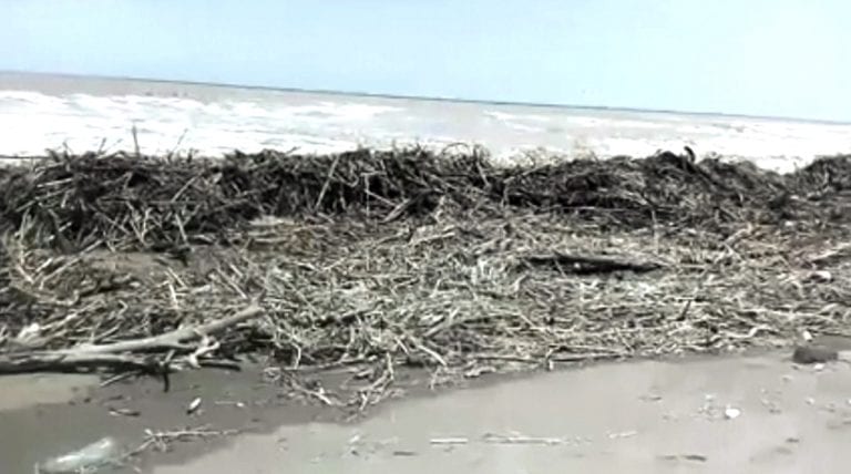 Playa Patillos está llena de escombros y desechos orgánicos 