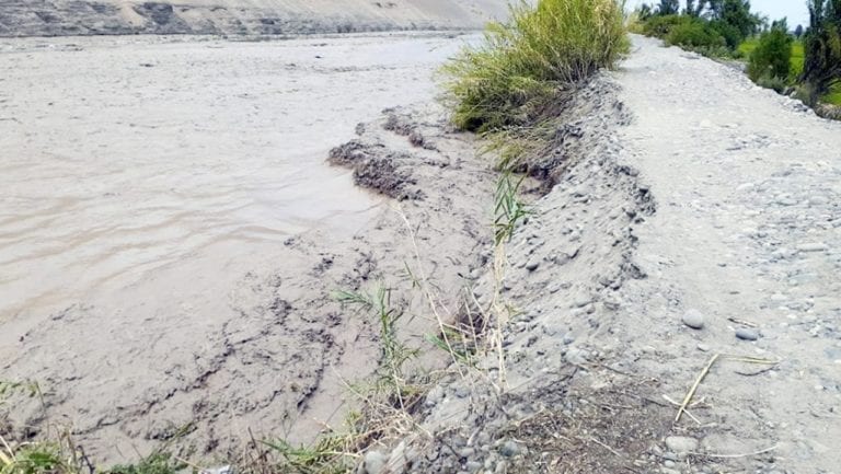 Mayor caudal del río Tambo pone en riesgo 5000 mil hectáreas de arroz