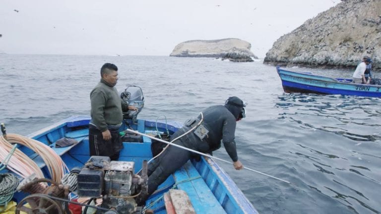 Buzo mollendino muere por descompresión