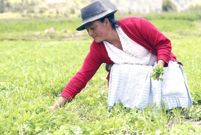 La mujeres en su día, avanzando pero…