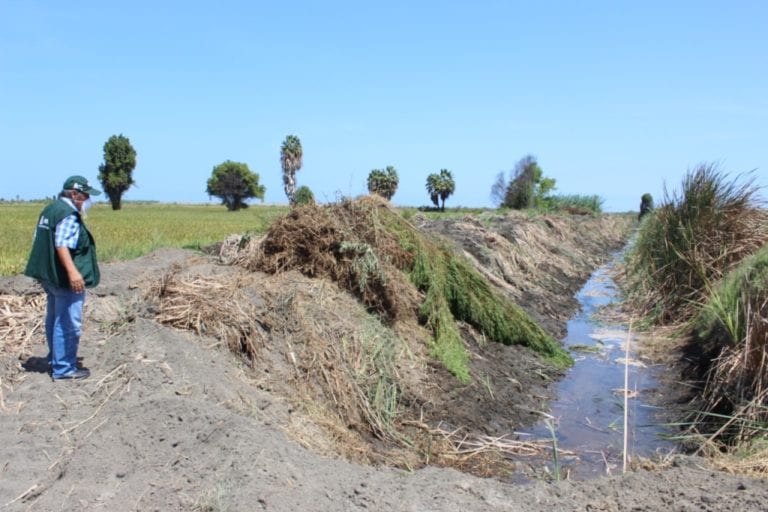 Minagri supervisa limpieza y descolmatación de drenes en el valle de Tambo