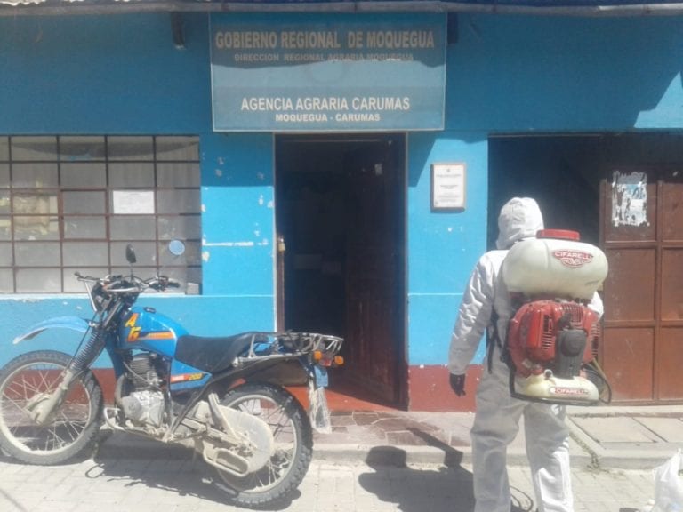 Municipalidad distrital de Carumas inicia trabajos de fumigación