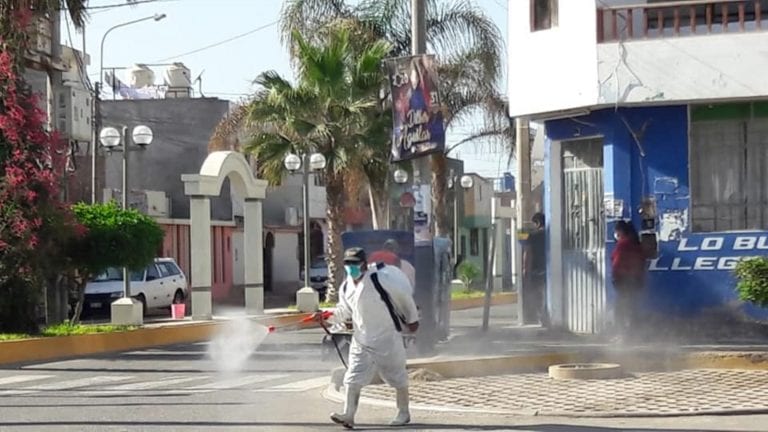 Municipio punteño fumiga interdiario diversos sectores del distrito