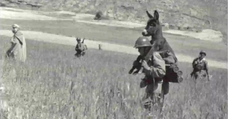 TRINQUETES POLÍTICOS: “Hay que salvar al burro”