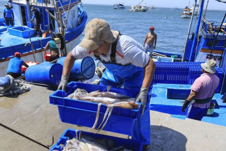 Pesca artesanal: amplían hasta octubre del 2021 plazo para su formalización