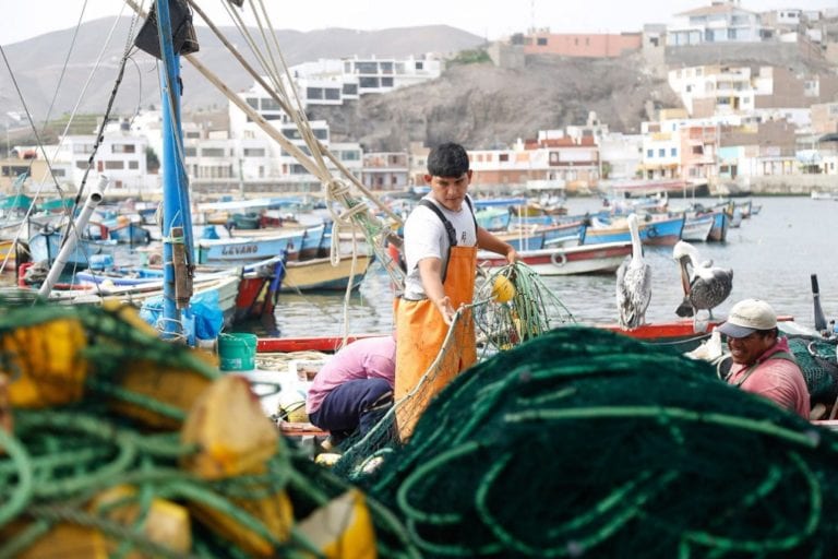 Produce inicia segunda etapa de créditos para pescadores artesanales