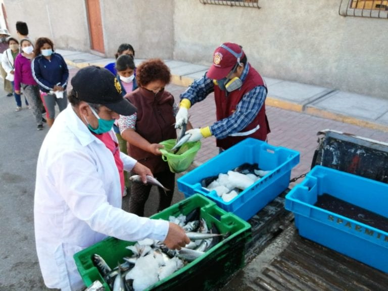 Entregan mil kilos de pescado a población vulnerable de Mollendo 
