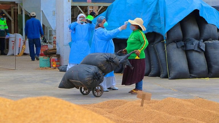 Comité agrario de Punta de Bombón inspecciona otro molino de arroz