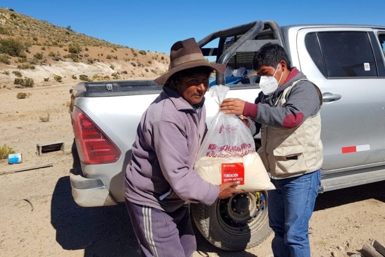 Southern Peru entrega sustituto lácteo para fortalecer camélidos sudamericanos