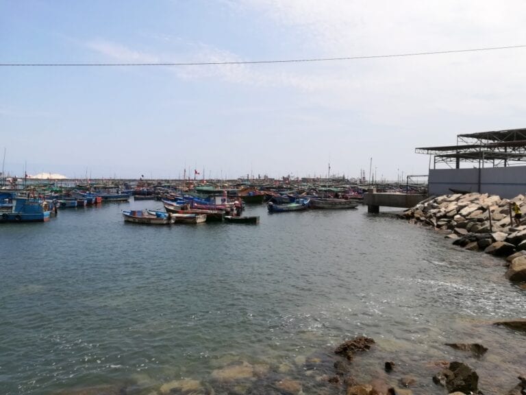 Denuncian presencia de más de 40 lanchas del norte en el puerto de Matarani