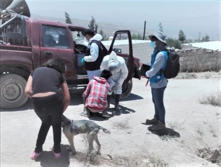 Detectan nuevo caso de rabia en Arequipa