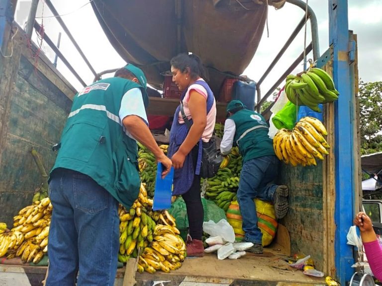 Intensifican acciones de control en el ingreso de productos frutícolas a Moquegua