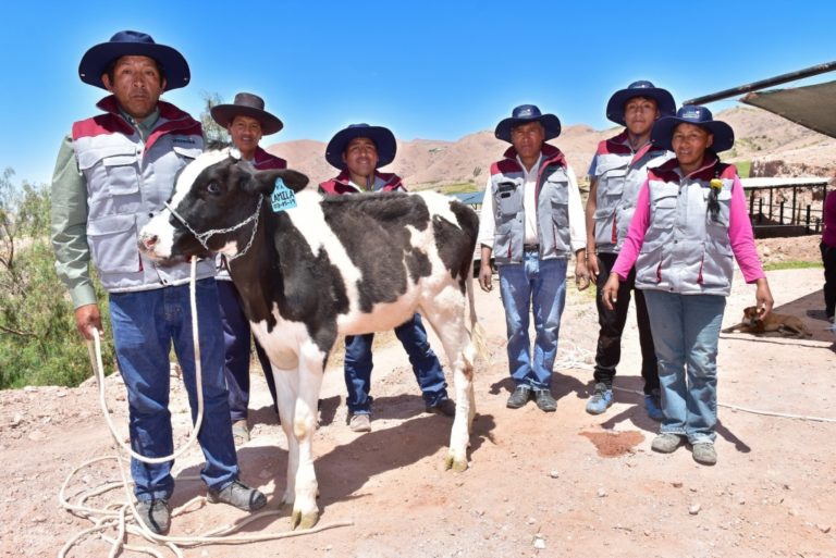 Southern Peru inicia nuevo ciclo de formación de líderes pecuarios