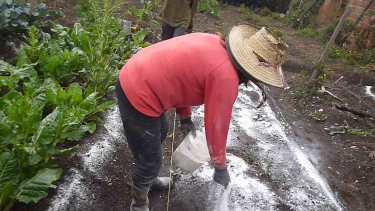 Agricultores preocupados por incremento del precio de fertilizantes